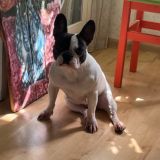 🪻lisa.beads.li.chats🪻