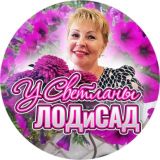 ЛодиСвет
