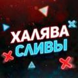 ХАЛЯВА СЛИВЫ 🤑