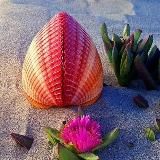 💙ПЛАТФОРМА “IGRA “ДЛЯ УДАЛЕНКИ 💰📲ЦЕНТР-БАНК ДЕЛИТСЯ ДЕНЬГАМИ🤝🙆♀️ЭТО НЕ ПРОДАЖИ КАРТ 🙅♀️