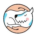 Школа Pi-Bo | Дрессировка и воспитание собак