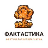 ФАКТАСТИКА 🌎 ФАКТЫ | СТАТИСТИКА | НАУКА
