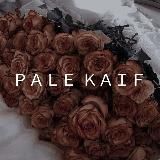 PALE KAIF🥀