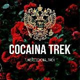 𝗖𝗢𝗖𝗔𝗜𝗡𝗔_𝗧𝗥𝗘𝗞