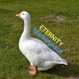 Eternity | Marketplace