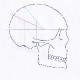 анатомия глазами хирурга