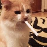 Половина матери✨