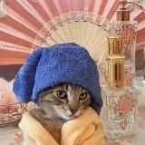 девочка с тату стедди