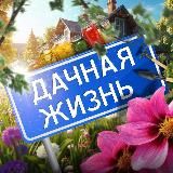 Дачная жизнь