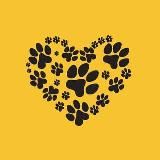 Помощь приюту для собак и кошек на ул. Зорге.