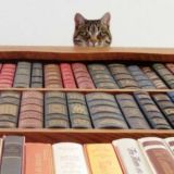 КИТОБ МУХОКОМАСИ