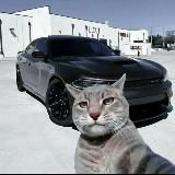 КАНАЛ ЗАКРЫТ.