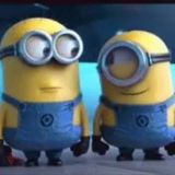 IT мемы и котики