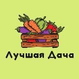 Лучшая Дача🍀