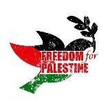 Палестина будет свободна! Палестина будет жить! ин ша Аллах | Save Gaza | Free Palestine 🕊 Новости