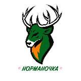 «Норманочка» (футзал)