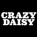 CRAZY DAISY / чатик