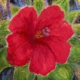 Красный Ворон