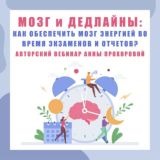 🤷♀️🧠 "МОЗГ и ДЕДЛАЙНЫ: как обеспечить мозг энергией во время экзаменов и отчетов?"