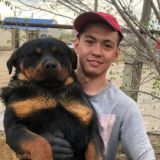 Самый красивый казах в Америке