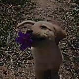 ꡴𝑷𝑺𝑰𝑵𝑺𝑲𝑰𝑬