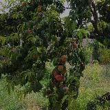 дневник памяти🗞️N.