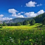 Актуальный Крд