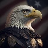 Виза в США help