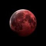 Дневник Апокалипсиса