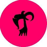 Силиконовый путь | Егор Козловский