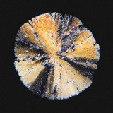 DMT Music
