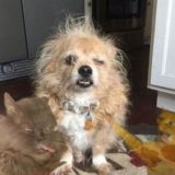 Пробивающий Дно