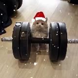 Маша и жизнь «до» похудения