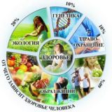 Самопознание Взаиморазвитие