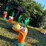 Цветы в торфе