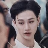 переезд ! | 猫の家⋆ ഒ˓ ˖୨୧京都では雨が降っています。