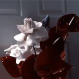 ::🥡::𝐾𝐴𝑆𝑆𝑇𝐸𝑁𝑂𝑉𝑆𝐾𝑌::