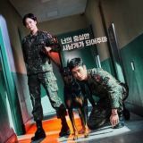 🌼 Военный прокурор Доберман 🌼