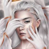 Цитадель ny_xis