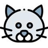 Clover Cat Official Group