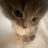 в ижике любят