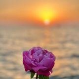 ПЕРЕХОДНИК|SUNRISE🕊