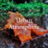 Городская Атмосфера📸❄️