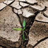 МАСТЕР-КЛАСС ПОРЧА. ВАЖНО ЗНАТЬ