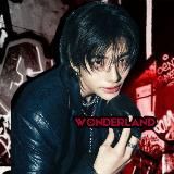 𝑊𝑂𝑁𝐷𝐸𝑅𝐿𝐴𝑁𝐷