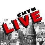 Шоу 39-го уровня