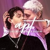 АРТ-терапия «Два гуся»