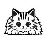 LMpets - дом кошачьего счастья 😻 Здесь находят друг друга 💞