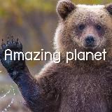 Amazing Planet 🌍