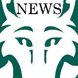 Eurofurence Notifications